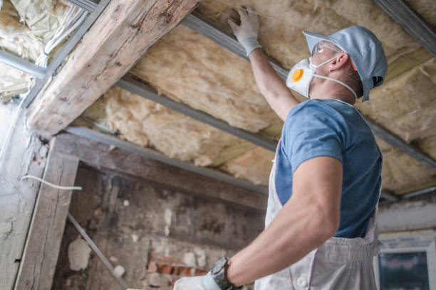Best Best Insulation Companies  in Marionville, MO