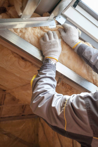 Best Energy-efficient Insulation  in Marionville, MO