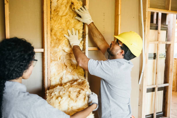 Best Spray Foam Insulation  in Marionville, MO