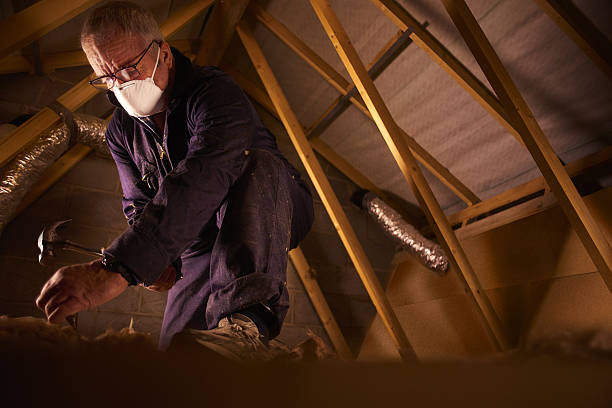 Best Spray Foam Insulation  in Marionville, MO
